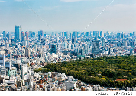 東京の街並み 東京の街並み 29775319