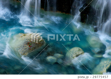 命の源流 命の源流 29775457