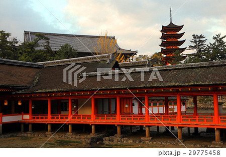 厳島神社社殿9 厳島神社社殿9 29775458