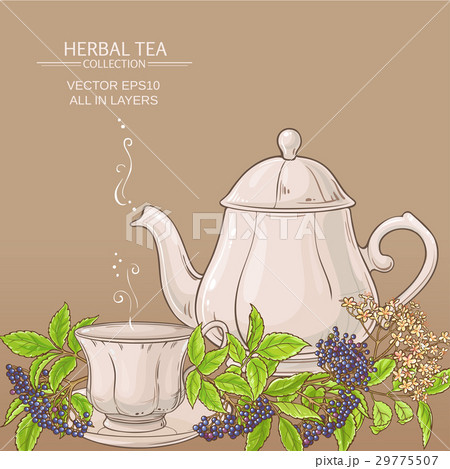 cup of elderberry tea and teapot 29775507