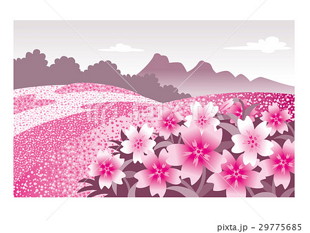 芝桜風景 花畑のイラスト素材