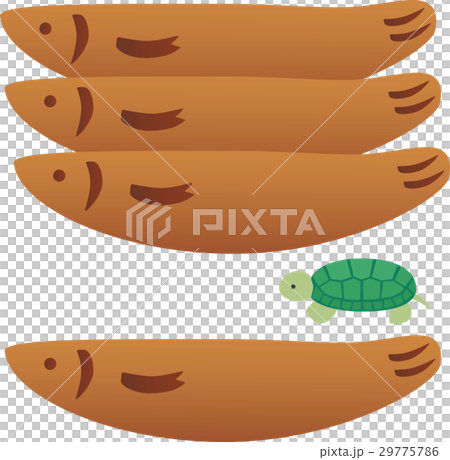 若あゆとカメ 若あゆとカメ 29775786