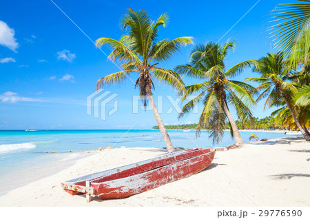 Coconut palms and old red pleasure boat 29776590