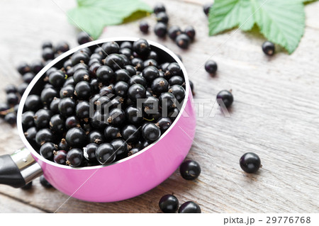 black currant berries 29776768