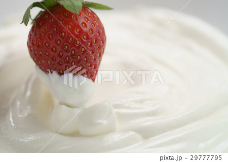dipping fresh strawberry into cream dipping fresh strawberry into cream 29777795