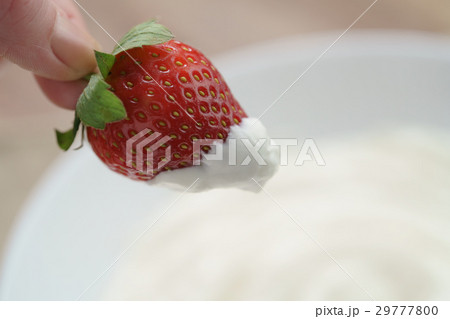 fresh strawberry dipped into cream with copy space 29777800