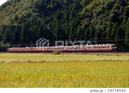 475系リバイバルゆのくに 29778544