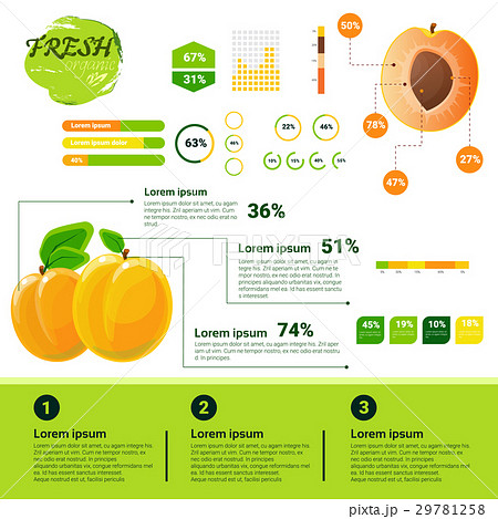 Fresh Organic Infographics Natural Fruits Growth 29781258