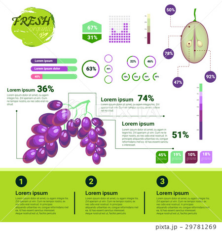 Fresh Organic Infographics Natural Fruits Growth 29781269