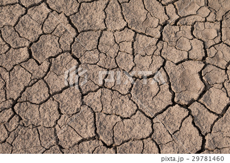 Dry and cracked earth texture. Global climate. Dry and cracked earth texture. Global climate. 29781460
