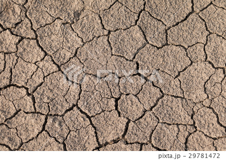 Dry and cracked earth texture. Global climate. 29781472