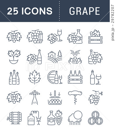 Set Vector Flat Line Icons Grape Set Vector Flat Line Icons Grape 29782207