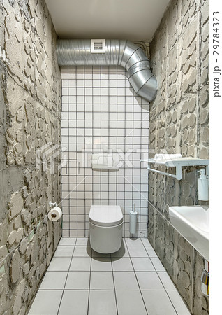 Lavatory in loft style Lavatory in loft style 29784323