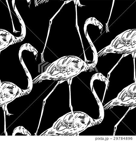 Pink flamingo  illustration 29784896
