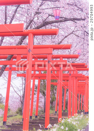 丸高稲荷神社 29784993