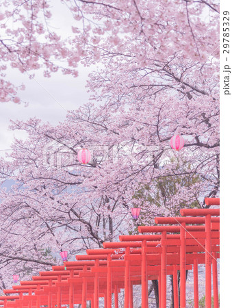 丸高稲荷神社 29785329