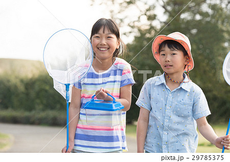 虫取りに行く子供 夏休み 29785375