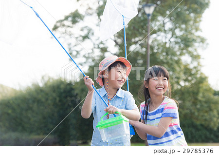 虫取りをする子供 夏休み 29785376