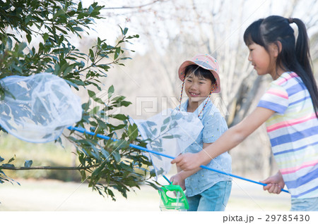 虫採りをする子供　夏休み 29785430