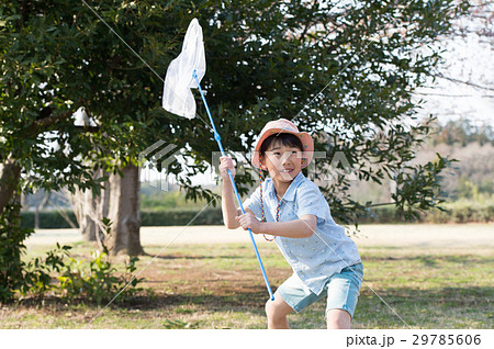 虫捕りする男の子　夏休み 29785606