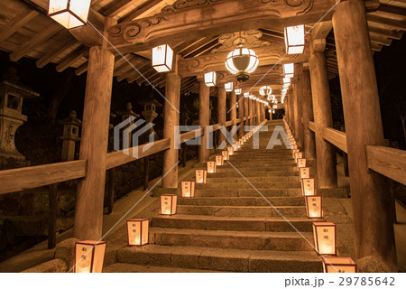 奈良　長谷寺　新年の回廊　観音万燈会 29785642