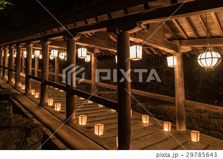 奈良 長谷寺 新年の回廊 観音万燈会 奈良 長谷寺 新年の回廊 観音万燈会 29785643