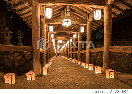 奈良　長谷寺　新年の回廊　観音万燈会 29785644