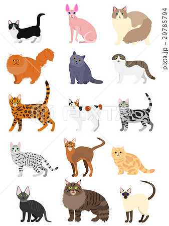 猫の種類セットのイラスト素材