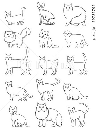 猫の種類セット 線画のイラスト素材