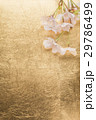 桜と金紙の背景 29786499