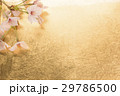 桜と金紙の背景 29786500