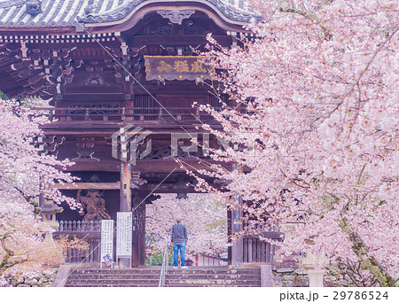 粉河寺 29786524