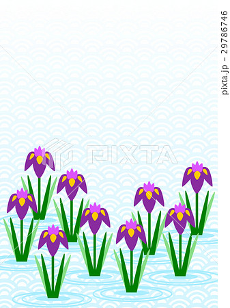 菖蒲 イラスト 背景 青海波のイラスト素材