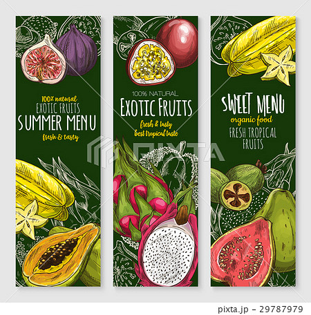 Vector banners set of exotic tropical fresh fruits 29787979