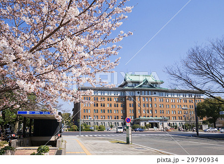 愛知県庁と桜 名古屋市営地下鉄5番出入口 愛知県庁と桜 名古屋市営地下鉄5番出入口 29790934