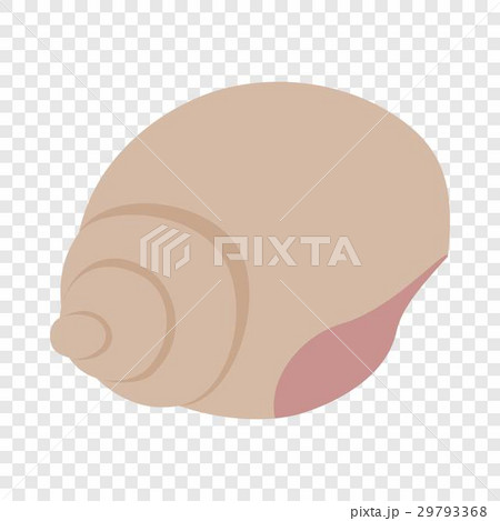 Shell isometric icon Shell isometric icon 29793368
