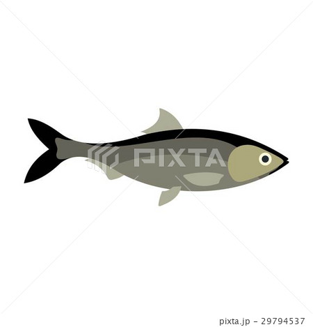 Fish icon, flat style Fish icon, flat style 29794537