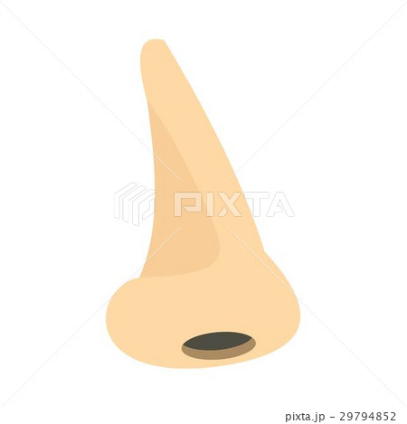 Human nose icon, flat style 29794852