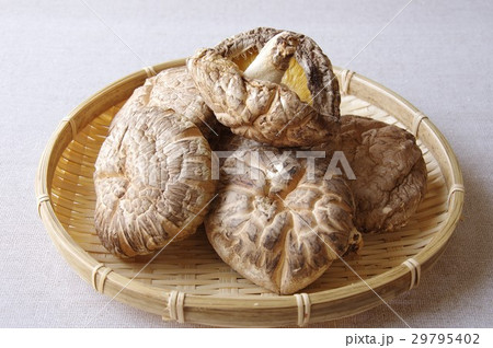 どんこ椎茸 29795402