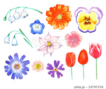春の花 水彩画 パーツ 水彩 イラストのイラスト素材