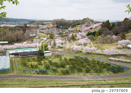 農業公園　風景 29797809