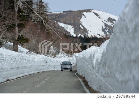 磐梯吾妻スカイライン　雪の回廊 29799844