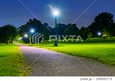 Night time in primrose Hill park 29800273