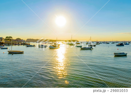 Sandbanks harbor 29801033