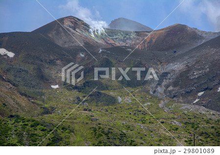 十勝岳望岳台 29801089