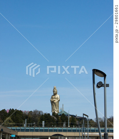 加賀観音 29801661