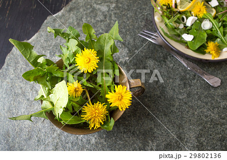 Dandelion flowers in a vintage copper cup isolated 29802136