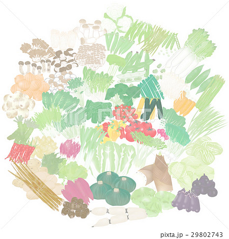 やさい　たくさん　明るい　イラスト　素材　 29802743