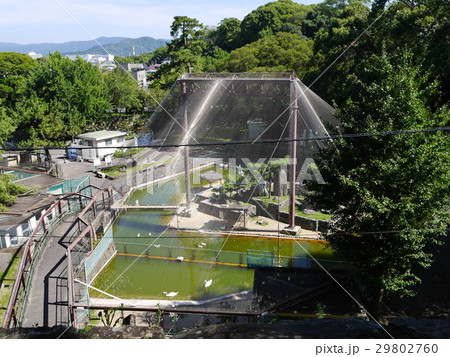 水禽園　すいきんえｎ 29802760