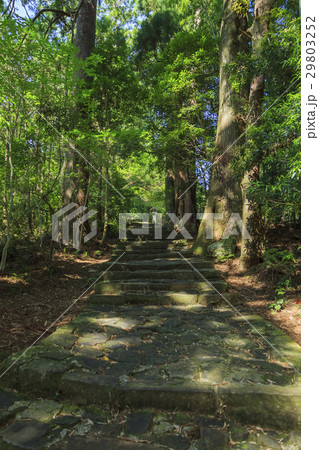 和歌山県・熊野古道・中辺路 大門坂 29803252